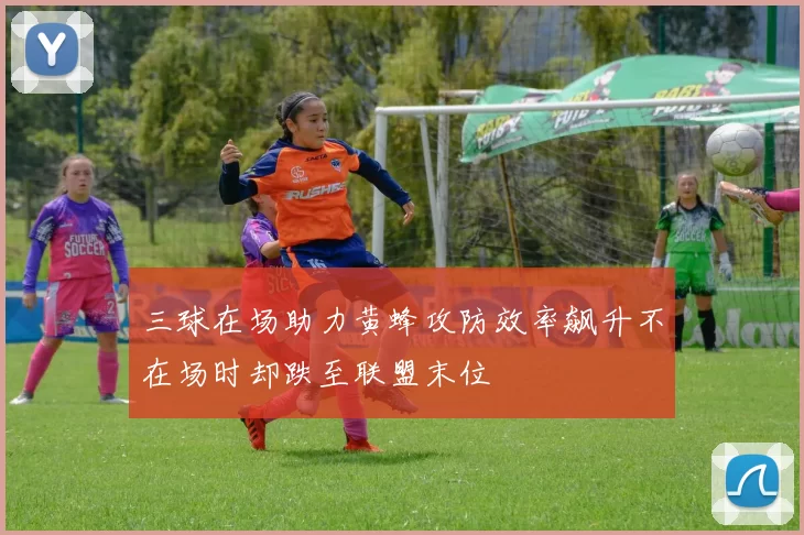 三球在场助力黄蜂攻防效率飙升不在场时却跌至联盟末位