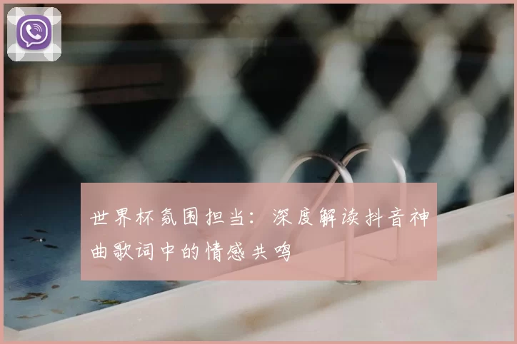 世界杯氛围担当：深度解读抖音神曲歌词中的情感共鸣