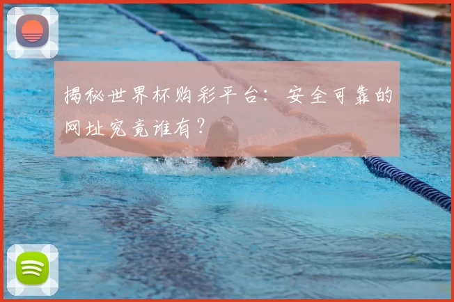 揭秘世界杯购彩平台:安全可靠的网址究竟谁有?