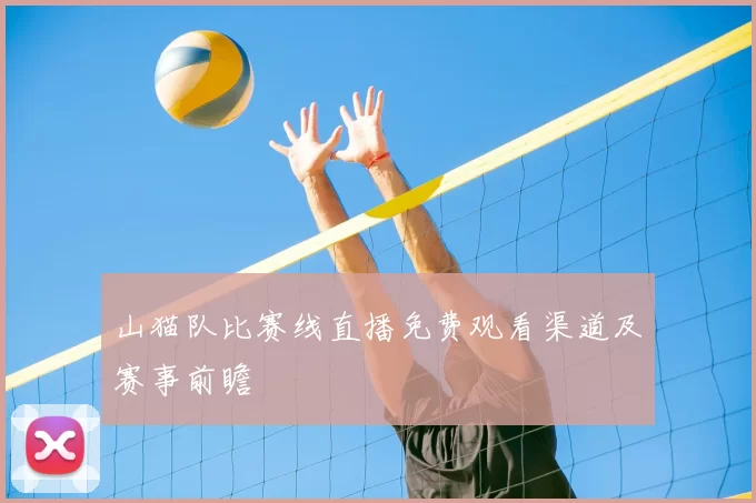 山猫队比赛线直播免费观看渠道及赛事前瞻
