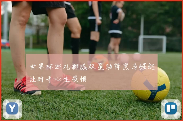 世界杯巡礼挪威双星助阵黑马崛起让对手心生畏惧