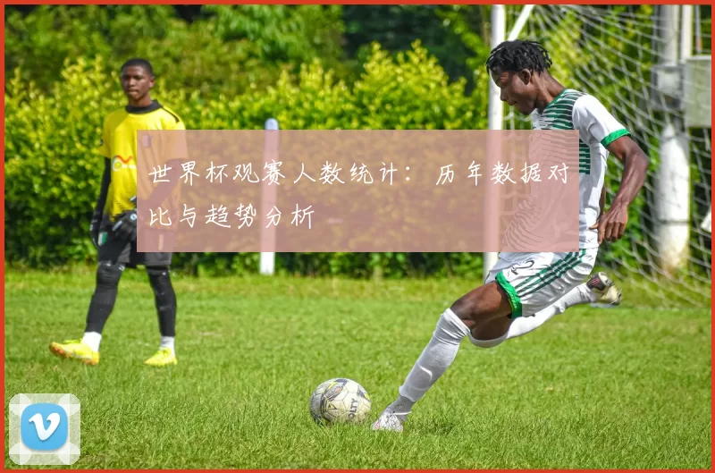 世界杯观赛人数统计:历年数据对比与趋势分析