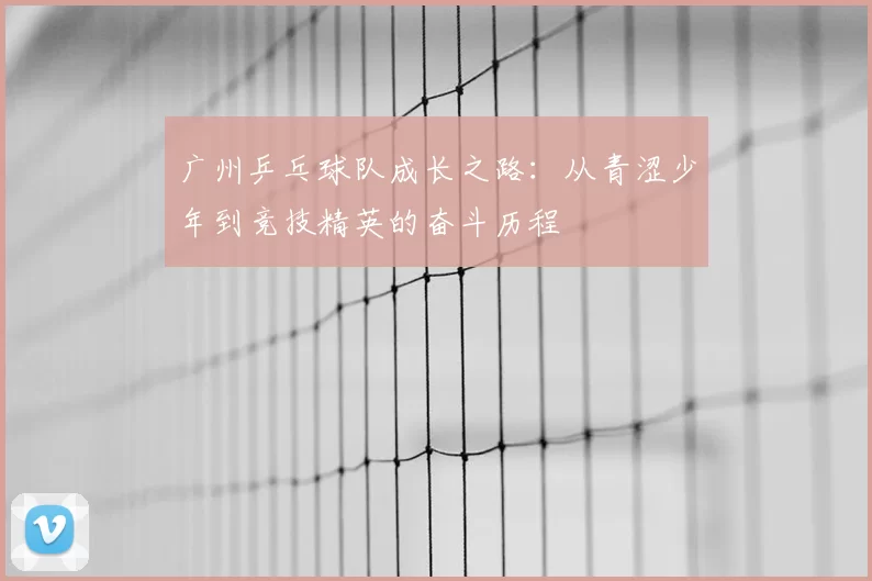 广州乒乓球队成长之路：从青涩少年到竞技精英的奋斗历程