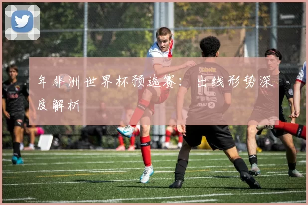 年非洲世界杯预选赛:出线形势深度解析