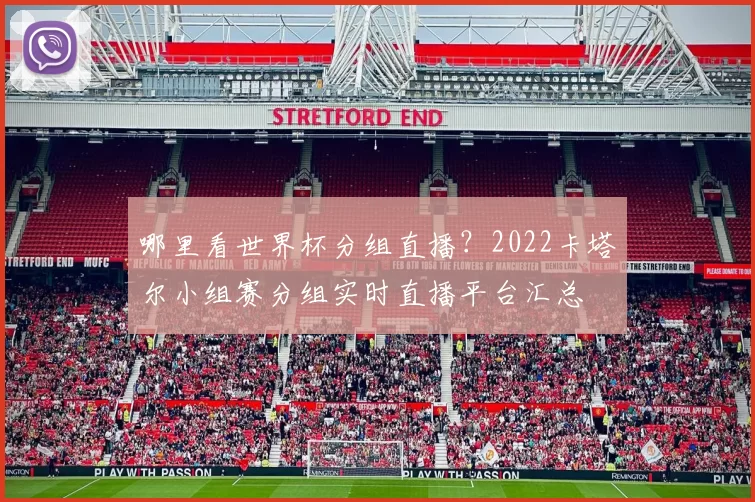 哪里看世界杯分组直播?2022卡塔尔小组赛分组实时直播平台汇总