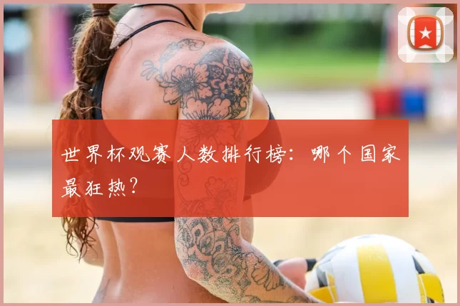 世界杯观赛人数排行榜:哪个国家最狂热?