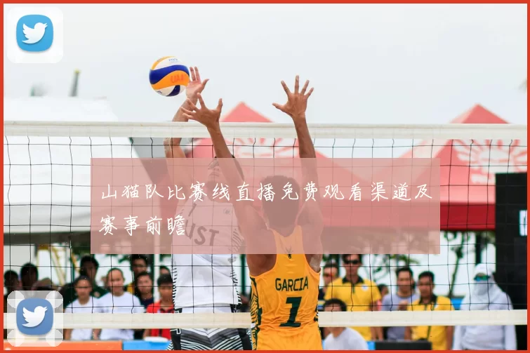 山猫队比赛线直播免费观看渠道及赛事前瞻